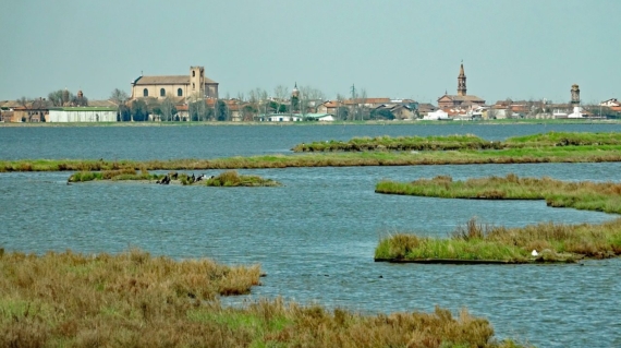 Gewässerschadenhaftpflichtversicherung Versicherungsmakler in Karlsruhe